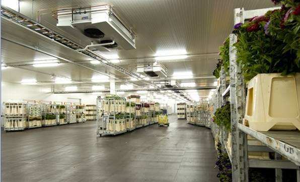 寧波建冷庫(kù)多少錢(qián)一立方？每立方能存多少貨物